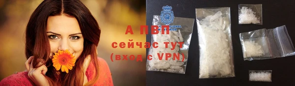 мяу мяу мука Новозыбков
