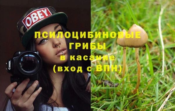 мяу мяу мука Новозыбков