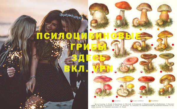эйфоретик Нязепетровск