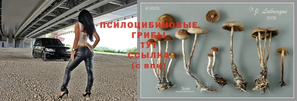 гидропоника Новокубанск